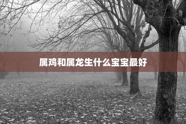 属鸡和属龙生什么宝宝最好