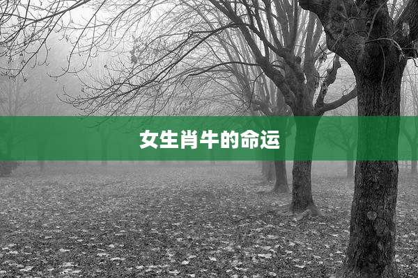女生肖牛的命运
