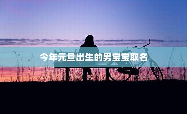 今年元旦出生的男宝宝取名