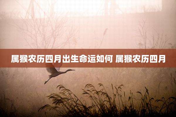 属猴农历四月出生命运如何 属猴农历四月