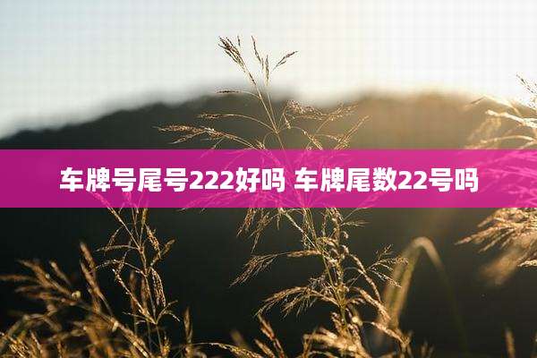 车牌号尾号222好吗 车牌尾数22号吗