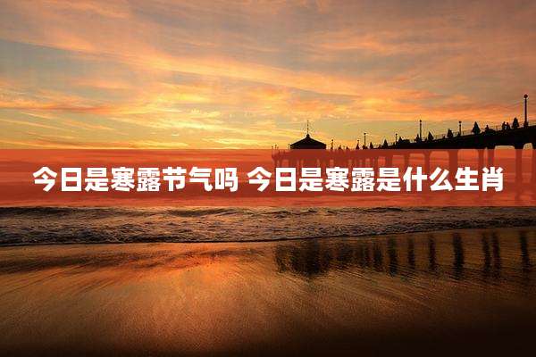 今日是寒露节气吗 今日是寒露是什么生肖
