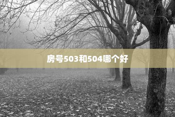 房号503和504哪个好