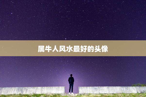 属牛人风水最好的头像