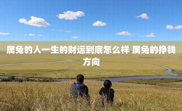 属兔的人一生的财运到底怎么样 属兔的挣钱方向