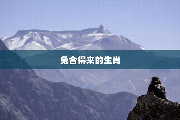 兔合得来的生肖