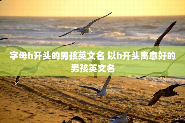 字母h开头的男孩英文名 以h开头寓意好的男孩英文名