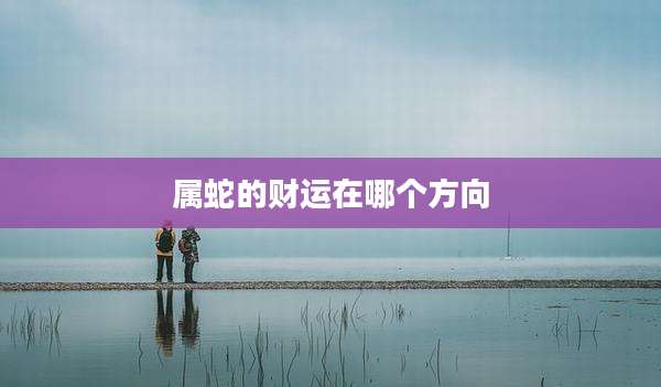 属蛇的财运在哪个方向