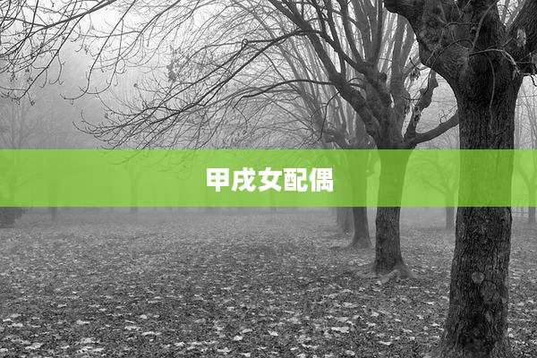 甲戌女配偶