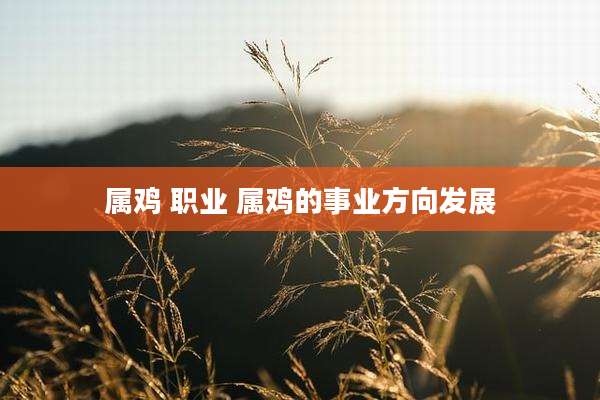 属鸡 职业 属鸡的事业方向发展