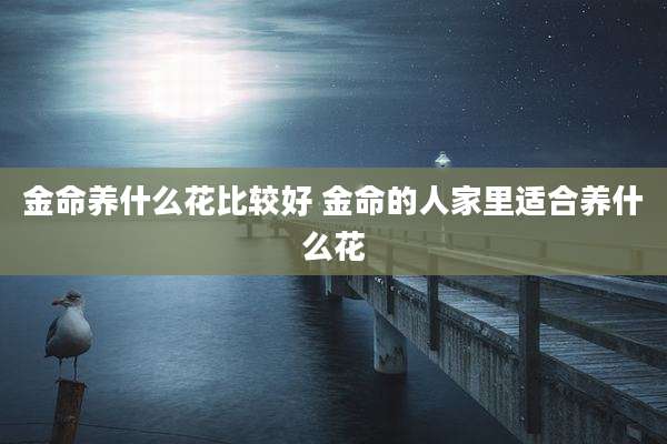 金命养什么花比较好 金命的人家里适合养什么花