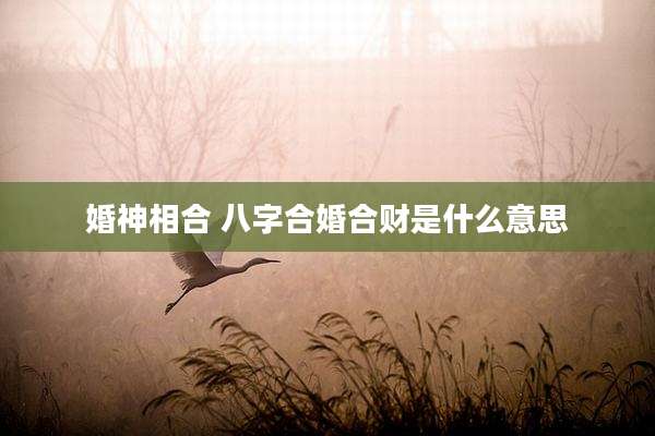 婚神相合 八字合婚合财是什么意思