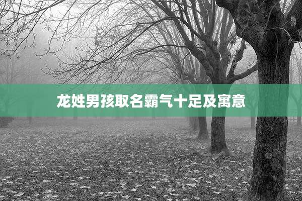 龙姓男孩取名霸气十足及寓意