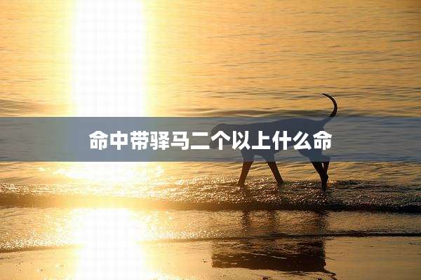 命中带驿马二个以上什么命