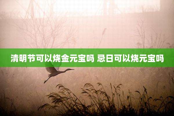 清明节可以烧金元宝吗 忌日可以烧元宝吗