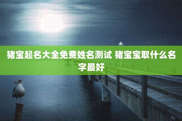 猪宝起名大全免费姓名测试 猪宝宝取什么名字最好