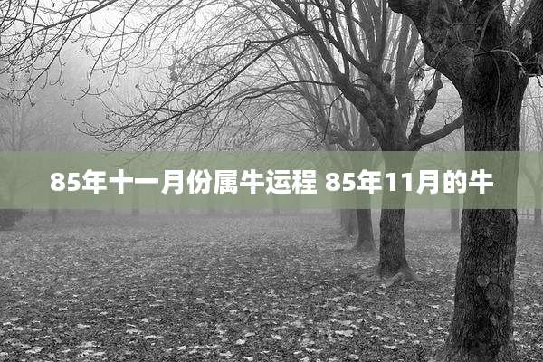 85年十一月份属牛运程 85年11月的牛