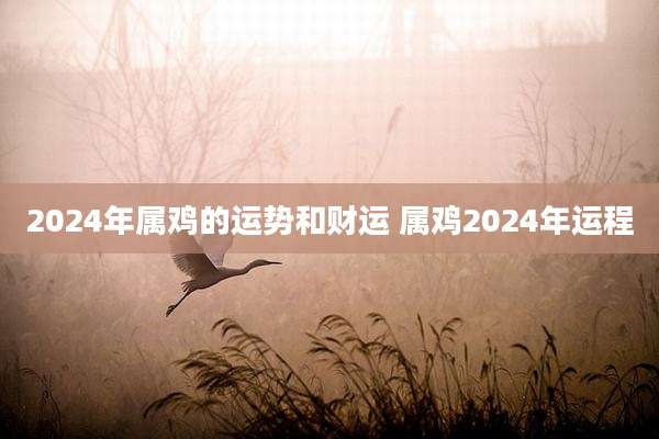 2024年属鸡的运势和财运 属鸡2024年运程