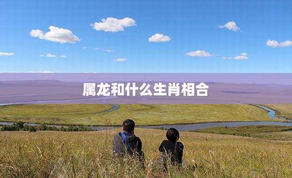 属龙和什么生肖相合