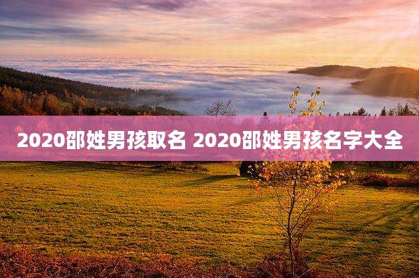 2020邵姓男孩取名 2020邵姓男孩名字大全