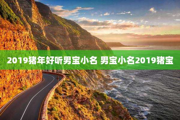2019猪年好听男宝小名 男宝小名2019猪宝
