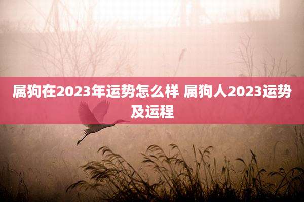 属狗在2023年运势怎么样 属狗人2023运势及运程