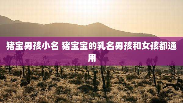 猪宝男孩小名 猪宝宝的乳名男孩和女孩都通用