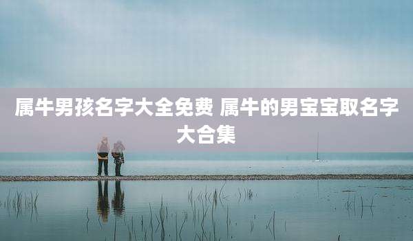 属牛男孩名字大全免费 属牛的男宝宝取名字大合集