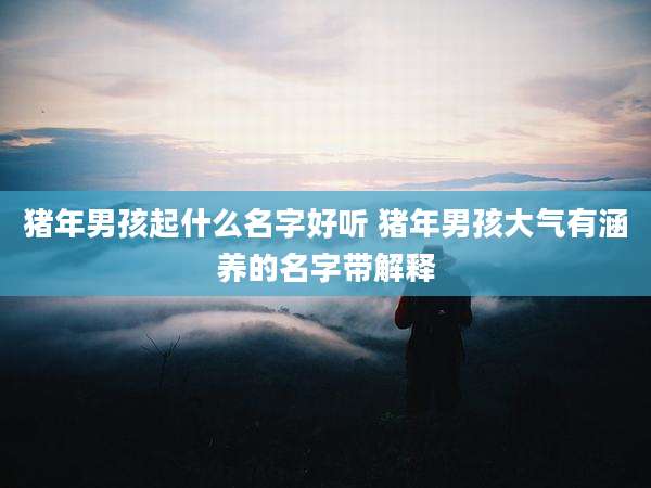 猪年男孩起什么名字好听 猪年男孩大气有涵养的名字带解释