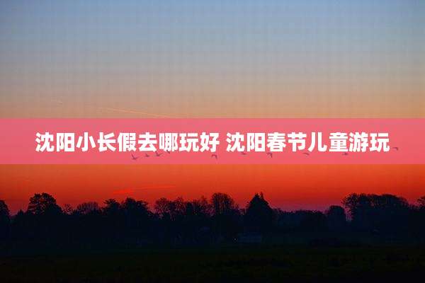 沈阳小长假去哪玩好 沈阳春节儿童游玩