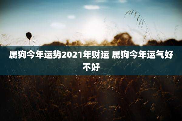 属狗今年运势2021年财运 属狗今年运气好不好