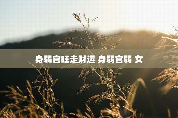 身弱官旺走财运 身弱官弱 女
