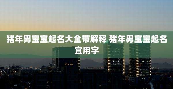 猪年男宝宝起名大全带解释 猪年男宝宝起名宜用字