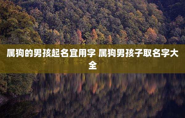 属狗的男孩起名宜用字 属狗男孩子取名字大全