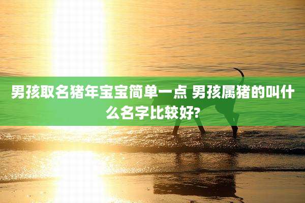 男孩取名猪年宝宝简单一点 男孩属猪的叫什么名字比较好?