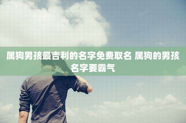 属狗男孩最吉利的名字免费取名 属狗的男孩名字要霸气
