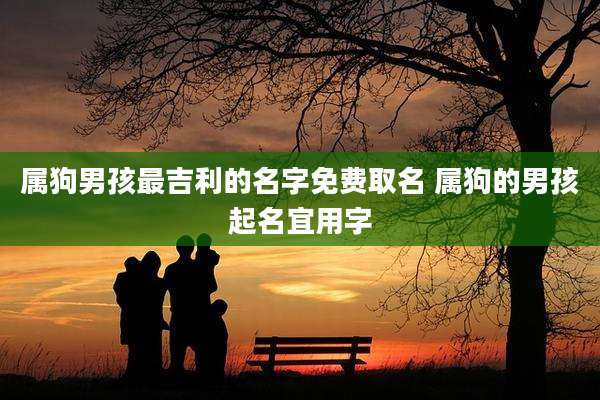 属狗男孩最吉利的名字免费取名 属狗的男孩起名宜用字