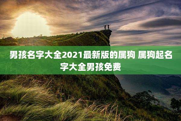 男孩名字大全2021最新版的属狗 属狗起名字大全男孩免费