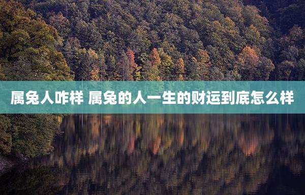 属兔人咋样 属兔的人一生的财运到底怎么样