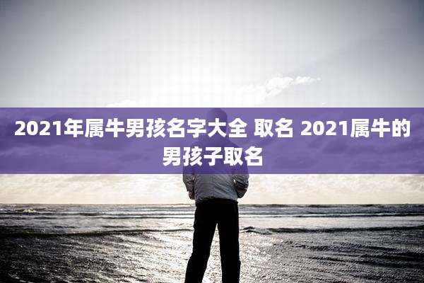 2021年属牛男孩名字大全 取名 2021属牛的男孩子取名