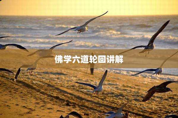 佛学六道轮回讲解