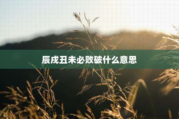 辰戌丑未必败破什么意思