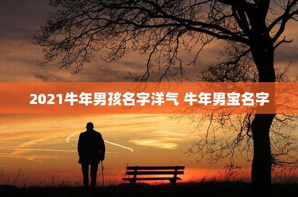 2021牛年男孩名字洋气 牛年男宝名字