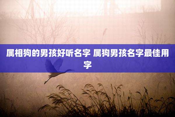 属相狗的男孩好听名字 属狗男孩名字最佳用字