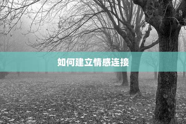 如何建立情感连接