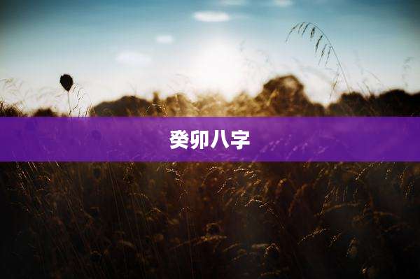 癸卯八字