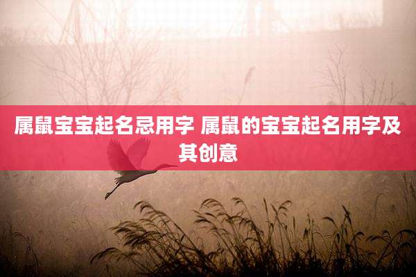 属鼠宝宝起名忌用字 属鼠的宝宝起名用字及其创意