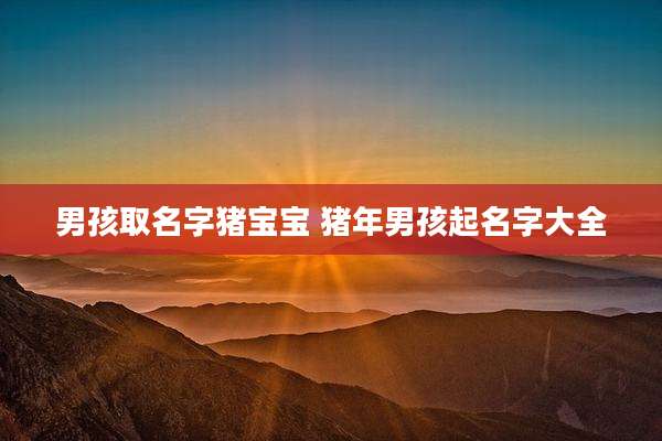 男孩取名字猪宝宝 猪年男孩起名字大全