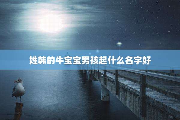 姓韩的牛宝宝男孩起什么名字好
