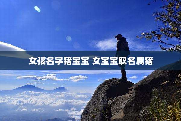 女孩名字猪宝宝 女宝宝取名属猪